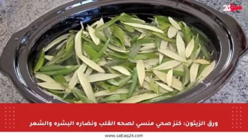 ورق الزيتون: كنز صحي منسي لصحة القلب ونضارة البشرة والشعر
